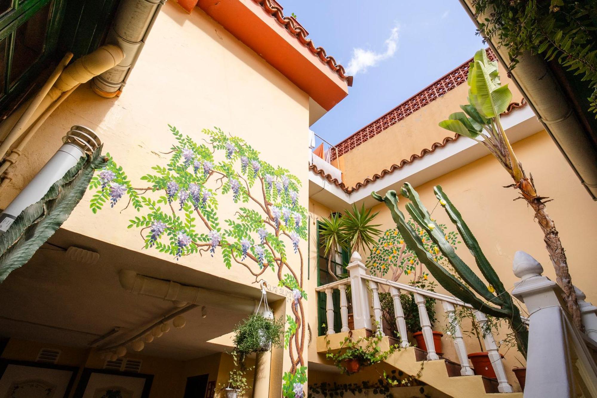 Hostel Tenerife La Orotava Kültér fotó